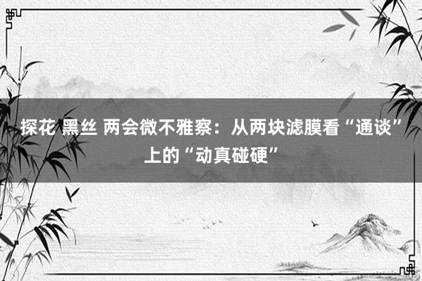 探花 黑丝 两会微不雅察：从两块滤膜看“通谈”上的“动真碰硬”