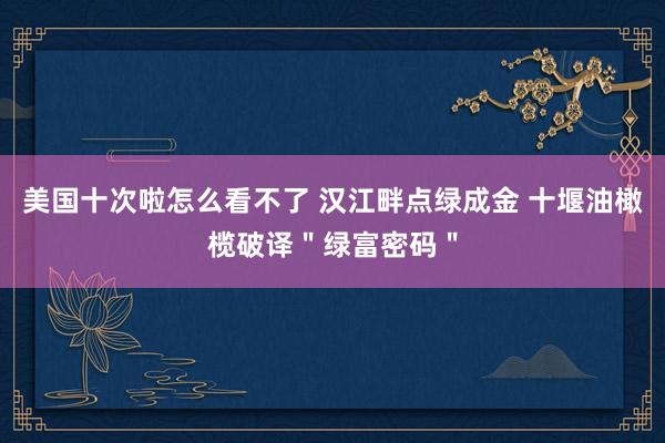 美国十次啦怎么看不了 汉江畔点绿成金 十堰油橄榄破译＂绿富密码＂