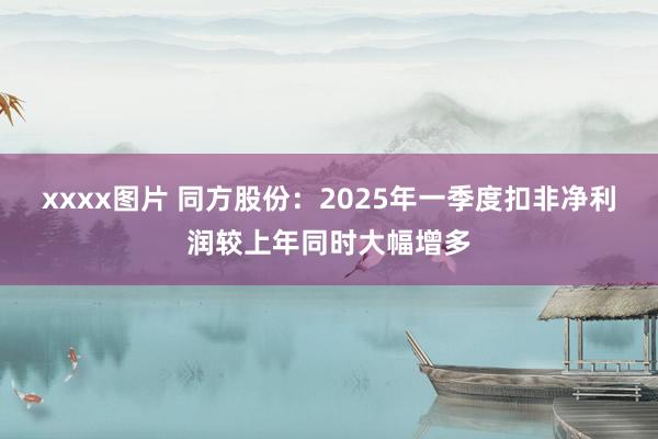 xxxx图片 同方股份：2025年一季度扣非净利润较上年同时大幅增多