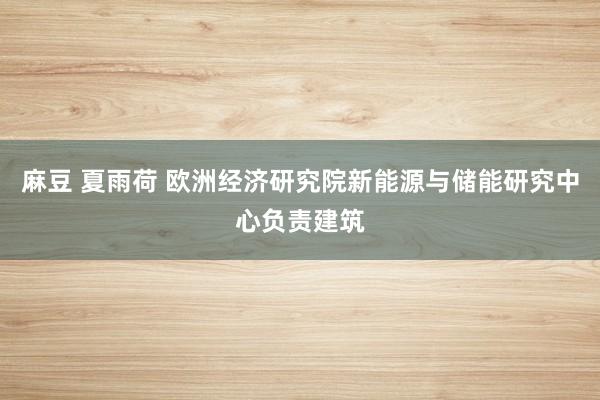 麻豆 夏雨荷 欧洲经济研究院新能源与储能研究中心负责建筑