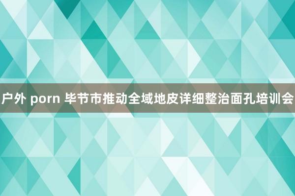 户外 porn 毕节市推动全域地皮详细整治面孔培训会