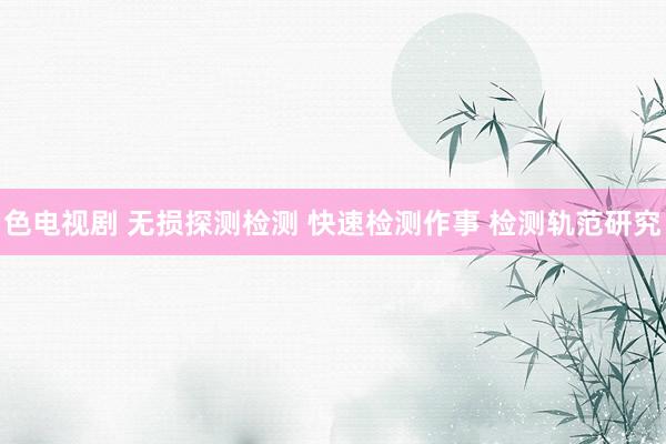 色电视剧 无损探测检测 快速检测作事 检测轨范研究
