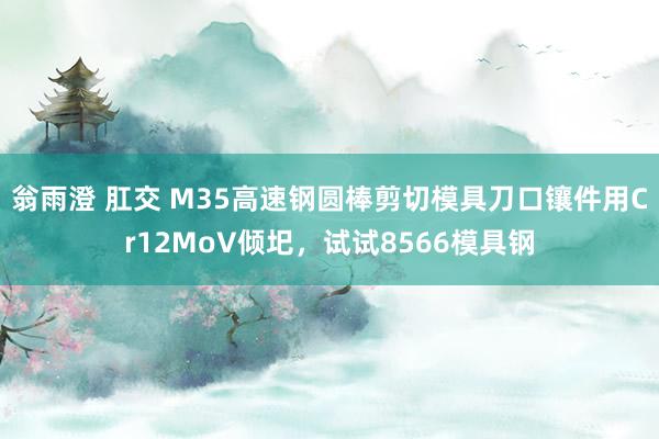翁雨澄 肛交 M35高速钢圆棒剪切模具刀口镶件用Cr12MoV倾圯，试试8566模具钢