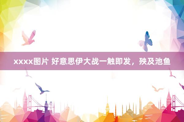 xxxx图片 好意思伊大战一触即发，殃及池鱼