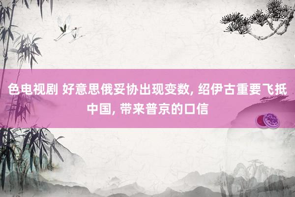 色电视剧 好意思俄妥协出现变数， 绍伊古重要飞抵中国， 带来普京的口信
